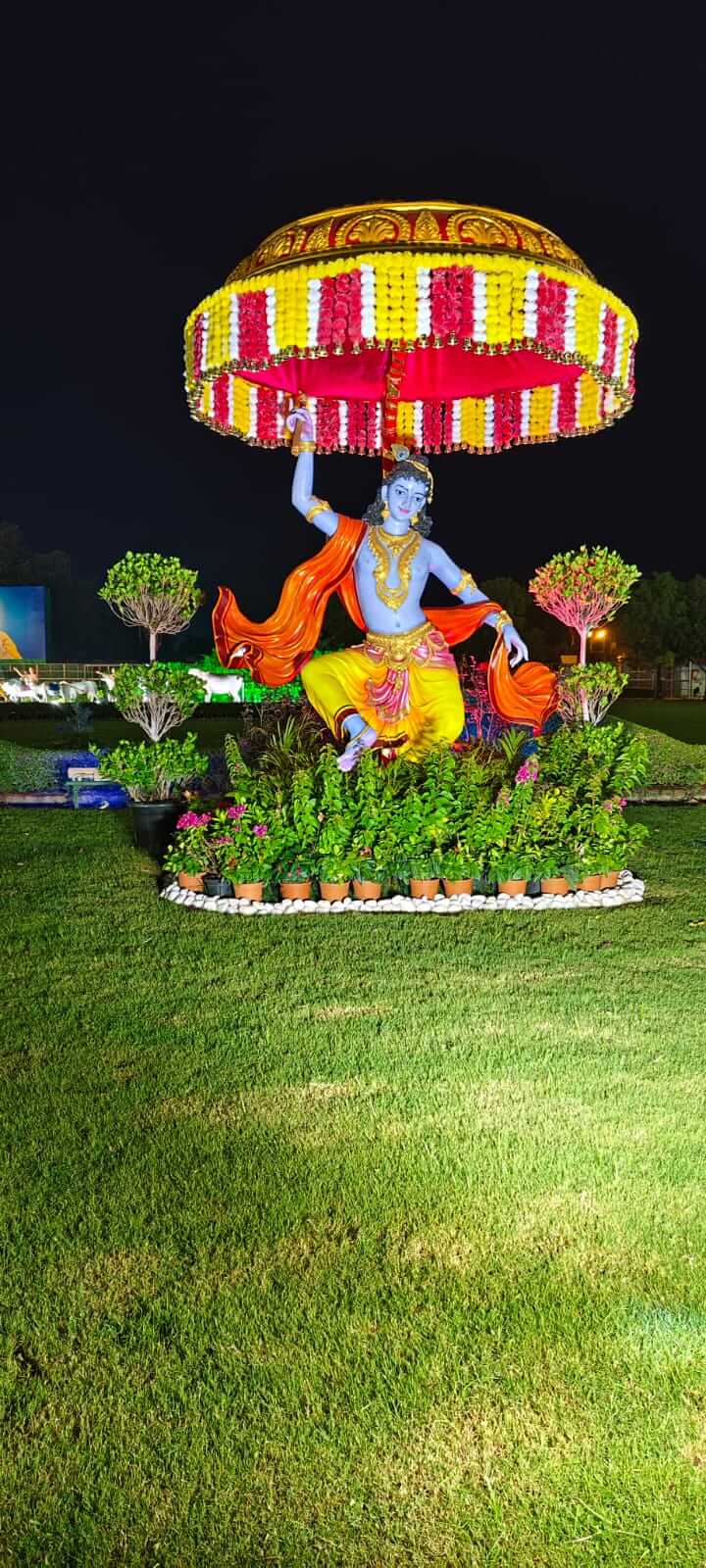 WhatsApp Image 2024-11-07 at 12.15.27 PM